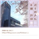 [광주 서구] 광주 쌍촌동 테라스 카페 만월 벚꽃뷰 라이브 공연 본 내돈내산 솔직후기