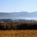 서광농장 이미지