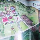 용인자작나무숲 입장료, 할인정보, 봄꽃축제정보, 애견동반 산책 가능한 곳