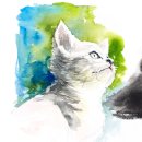 수채화 초급 이미지
