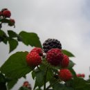 성기농장 이미지