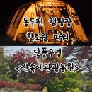 오토오아시스(동두천지행점) | 서울 근교 오토캠핑장/핼러윈 파티/단풍놀이/ 다양한 놀 거리 가득한 &lt;산속에 관광농원&gt; 후기 2탄