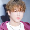 창빈 카카오 검색결과