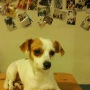 건지공원 이미지