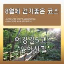 8월 걷기좋은 코스 [여강길5코스 황학산길] 이미지