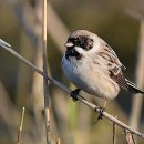 햇살좋은아침 이미지