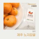 제주농장 | 제주노지귤, 아이 과일 간식 올레귤밭절부암농장제주귤 후기