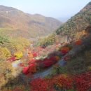 사인암매점