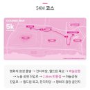 [서울 마라톤]핑크런 2025 참가 후기