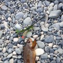 수심경로당 이미지