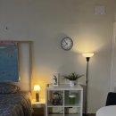 켈리하우스 이미지