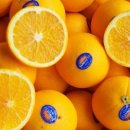 (주)골드레몬 이미지