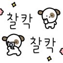 노모얼 이미지