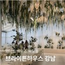 안이하우스 | 브라이튼하우스 강남 하객 후기 | 교통·식사·분위기 솔직 리뷰