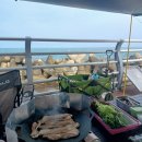 당사의 아침 | 당사현대차오션캠프