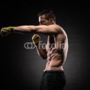 참피온복싱 이미지