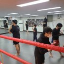 태권도 한국체육관 이미지