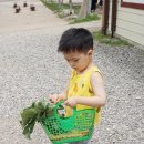 쭌농장 네이버블로그
