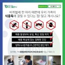 버그클리닉