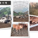 효진농장 이미지