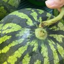 남해 돈섬 | 남해 독채 돈섬에 다녀왔어요(후기 내돈 내산)