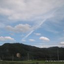 칠포해수욕장 이미지