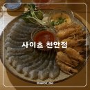회선생 | 천안 불당동 이자카야 사이쵸 천안점 생새우회 솔직후기
