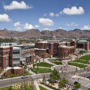 리노바이오 이미지