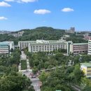 대덕렌트카 | 대전 전연령 렌트카 장기 가격 업체 후기