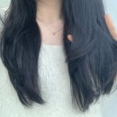 피오나헤어 이미지