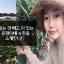 윤정농장 네이버블로그