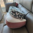 다울 | 모유수유 필수 육아템 다울아이 수유쿠션 내돈내산 후기