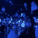 스카리아 이미지