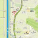 용구대로2469번길 네이버블로그