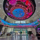 중부-현장-중부-483 | 어린이와 함께하는 의령역사문화탐방 한바퀴