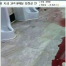 터미널화장실 이미지