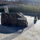 증평인삼판매장 | 벨포레미디어아트 벨포레 목장 증평투어패스 뽕뽑기. 증평여행 chapter2