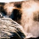 연탄춤추는돼지 이미지