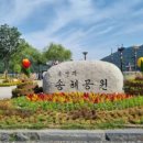 화동초등학교 앞 이미지