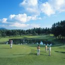 고원사우나 이미지