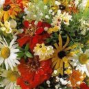 정직마켓 이미지