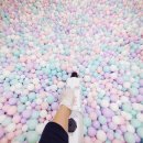 새솔유치원 이미지