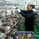 정학농장 이미지