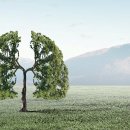 차오름건강 이미지