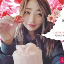 팔도여관 이미지