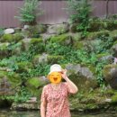 미림현수막 | 우이동 | 북한산 우이동 계곡 백숙 미림산장 솔직한 방문 후기