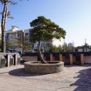 동삭1교 이미지