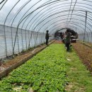 이성자농장 이미지