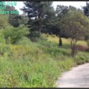 경기도 양평군 곡수초등학교 이미지