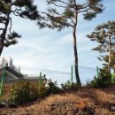 남원윤씨 오룡골 유적 이미지